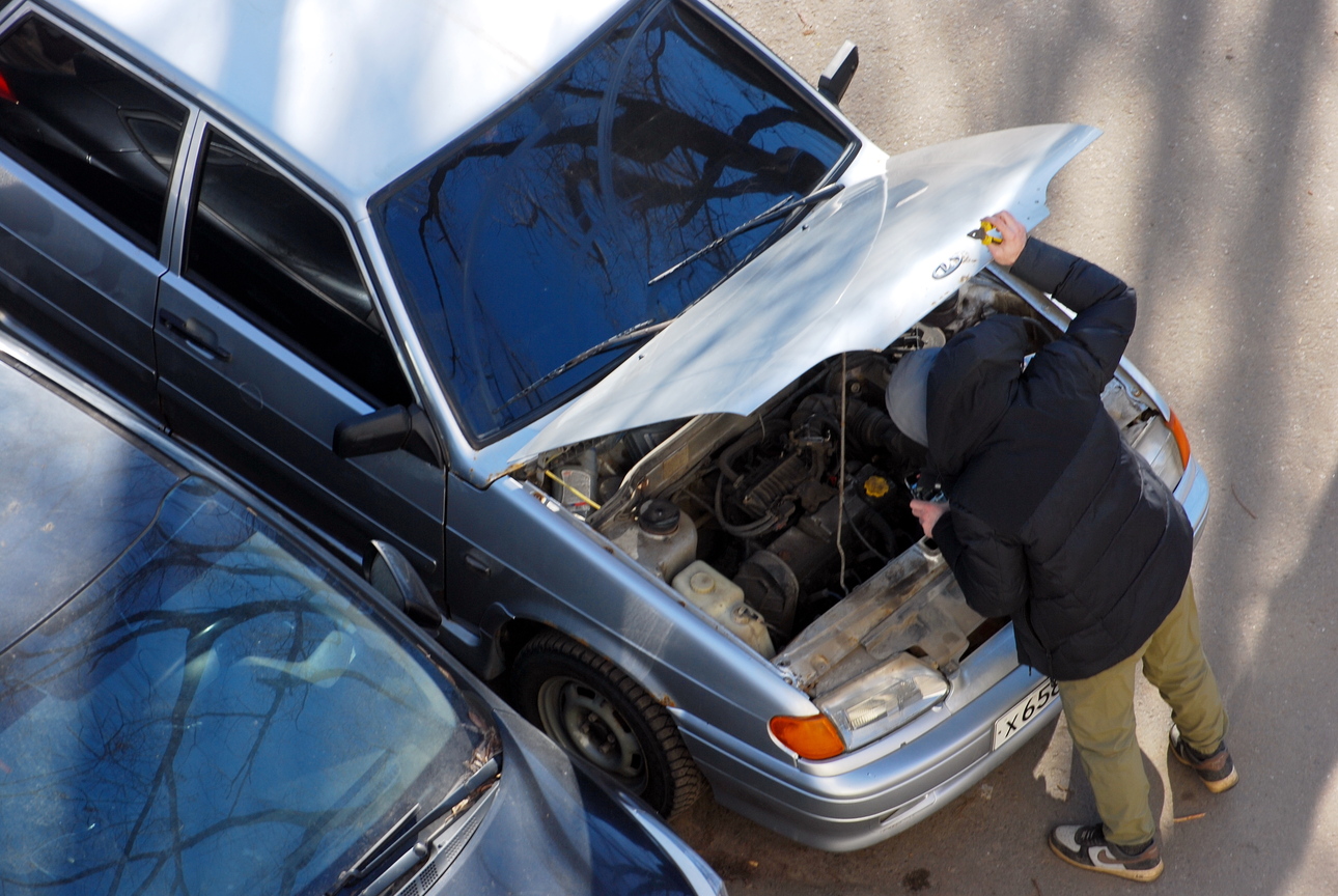 Фото Alexander Legky/globallookpress.com