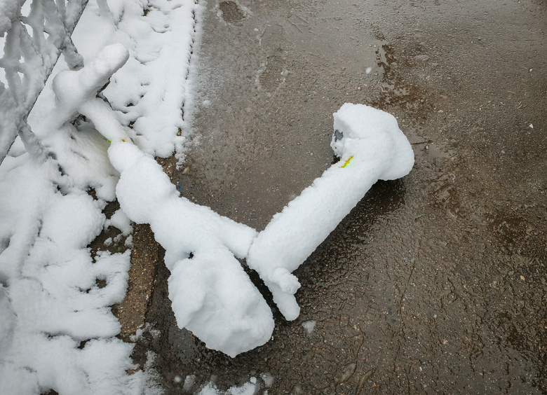 Циклон поставил московский каршеринг и аренду самокатов с велосипедами на паузу