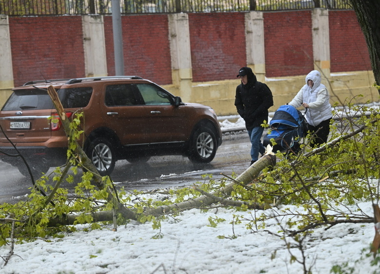 Снежная буря в мае застопорила движение десятков автомобилей на трассе в ХМАО