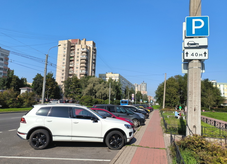 В России появится знак парковки для автомобилей многодетных семей