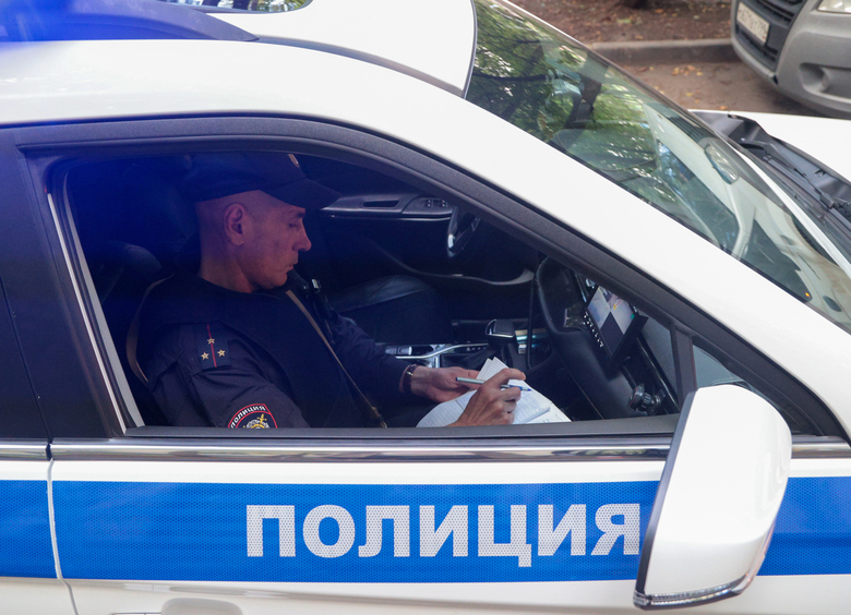 Пьяная автоледи без «прав» устроила истерику инспекторам ГАИ и порвала протокол