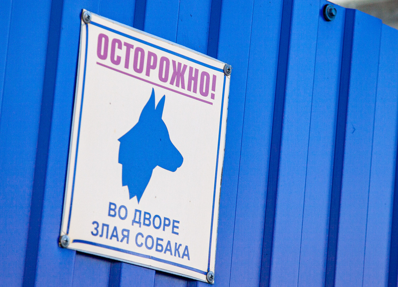 Изображение Мужчина, спасаясь от собаки, залез на крышу чужого авто, но машина не выдержала
