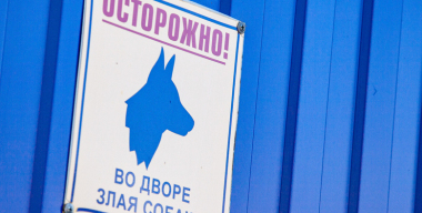 Мужчина, спасаясь от собаки, залез на крышу чужого авто, но машина не выдержала