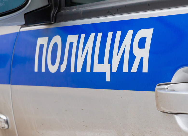 Изображение Автобус раздавил женщину на пешеходном переходе, лишив ее головы