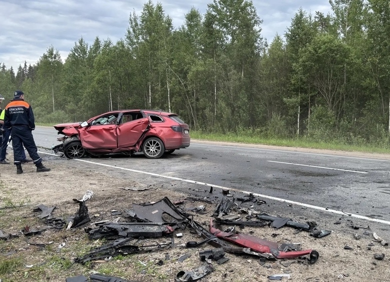 Изображение Водитель LADA Vesta с 89 штрафами спровоцировал смертельное ДТП