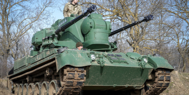«Цветочки» для «кошки»: немецкий Gepard «наелся» российской «Герани»
