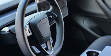 Внучка заперла бабушку в Tesla, включив режим для животных, но он дал сбой