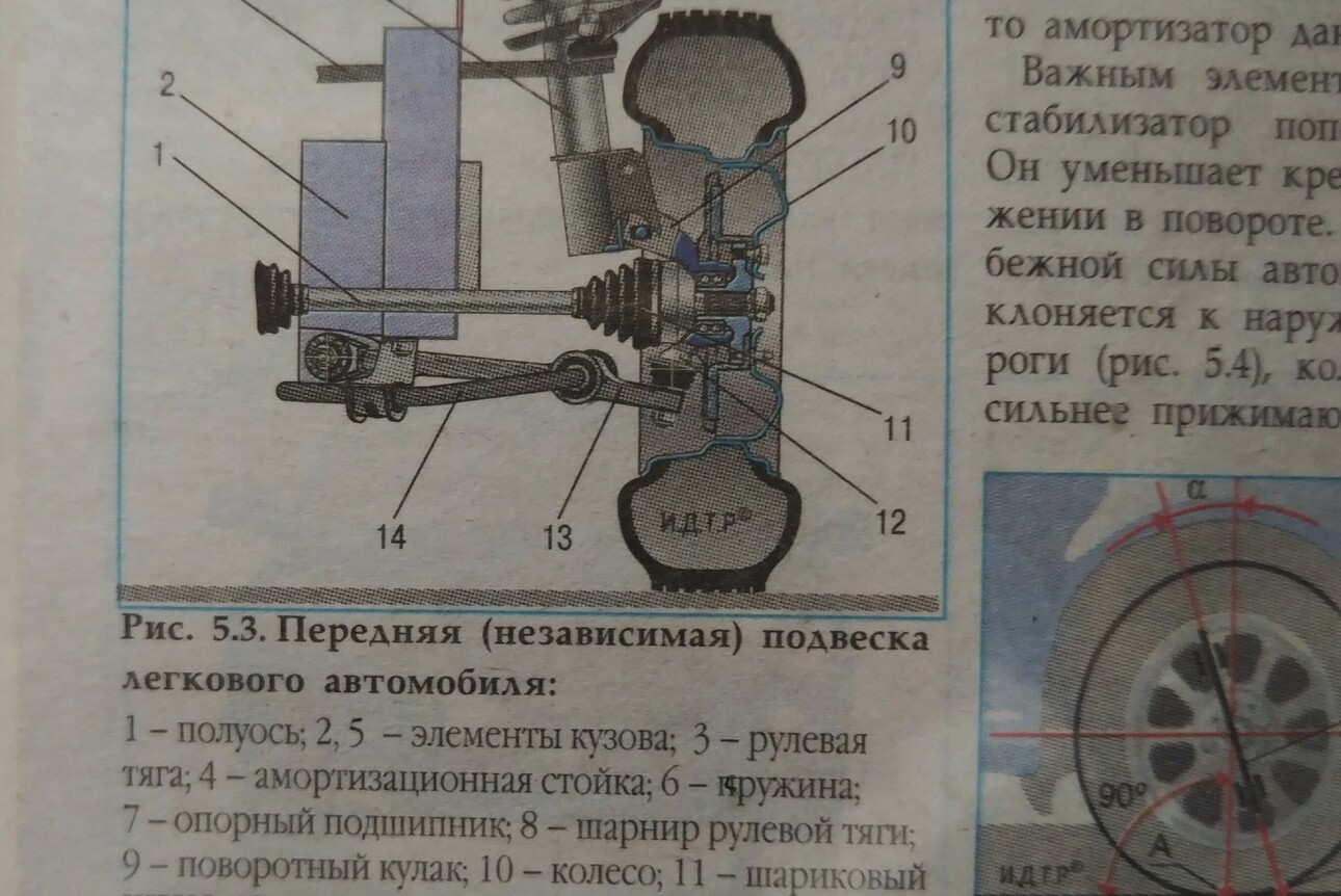 Фото: Дражен Зигич/magnific.com