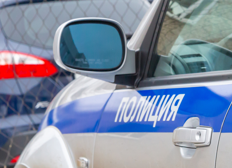 Изображение Полиция проводит проверку по факту ДТП с погибшим в Саратовской области
