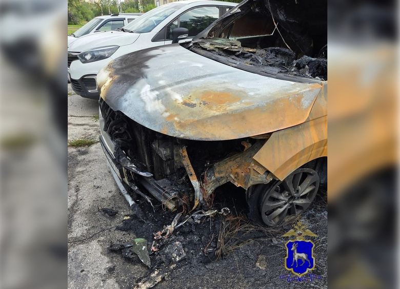 Изображение Уволенный работник спалил служебное авто из-за обиды на бывшее начальство