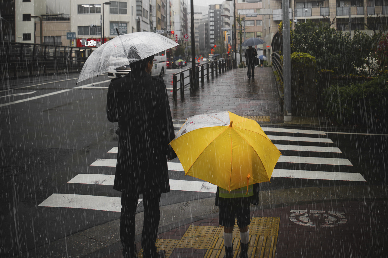 Фото: rawpixel.com/magnific.com             