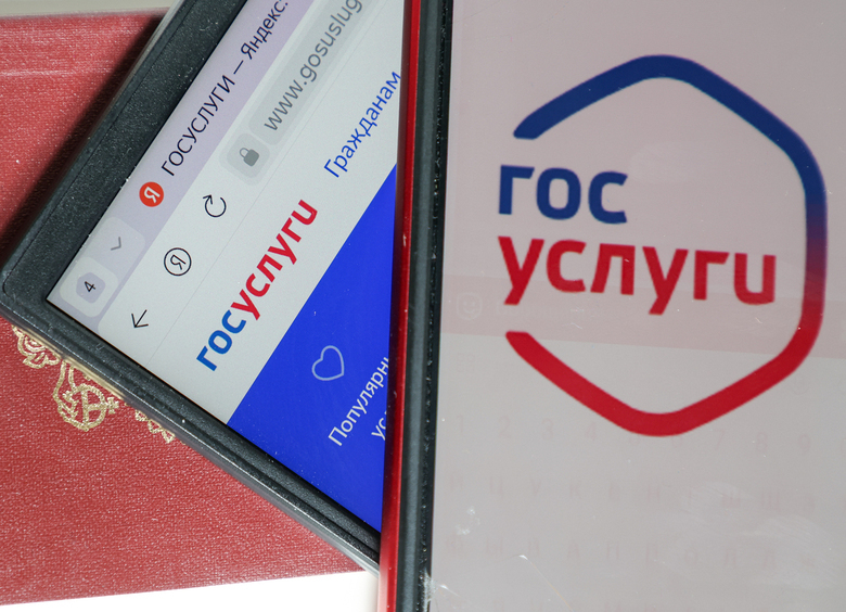 Изображение В России снова призвали предупреждать об эвакуации машин через «Госуслуги»